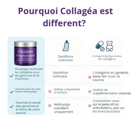 Collagéa™ I Poudre au collagène pour renforcer les gencives