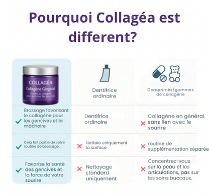 Collagéa™ I Poudre au collagène pour renforcer les gencives